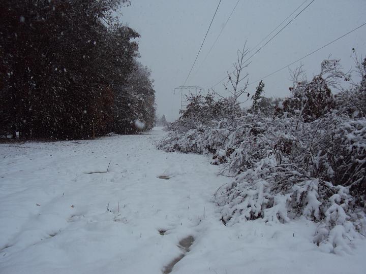 Oct 29 2011-4.JPG